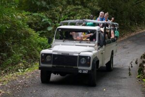 Treetop Adventure Park Canopy Tour - Check-In, Hydration, and Getting Wired Up for Flying