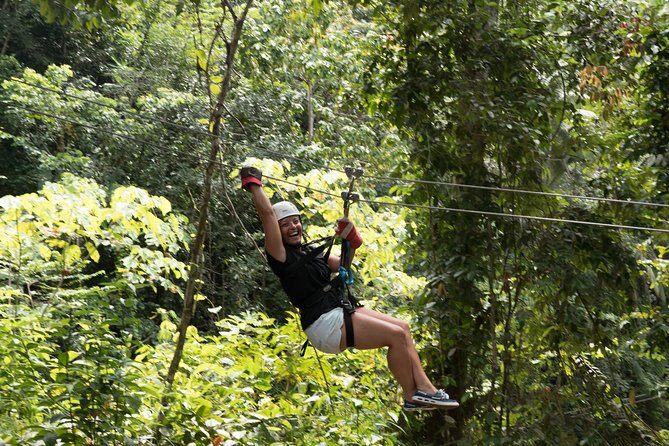 Treetop Adventure Park Canopy Tour - The Course: 12 Ziplines, 20 Platforms, One Net Bridge, and Trails