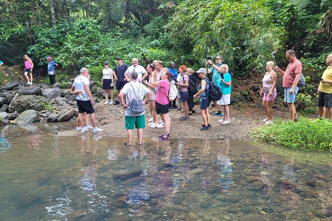 Waterfall and Beach Safari in Santa Lucia - Why the Guides and Drivers Make This Tour Feel Personal