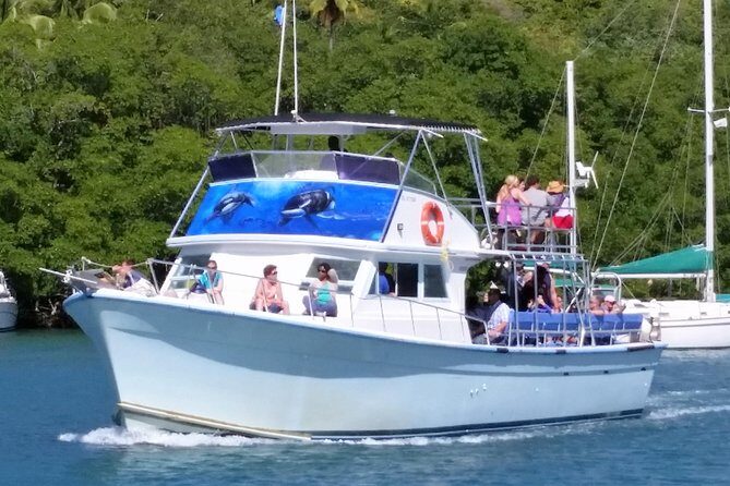 Whale and Dolphin Watching Cruise in St Lucia - Why the 8:00am Departure Feels Smarter in St Lucia
