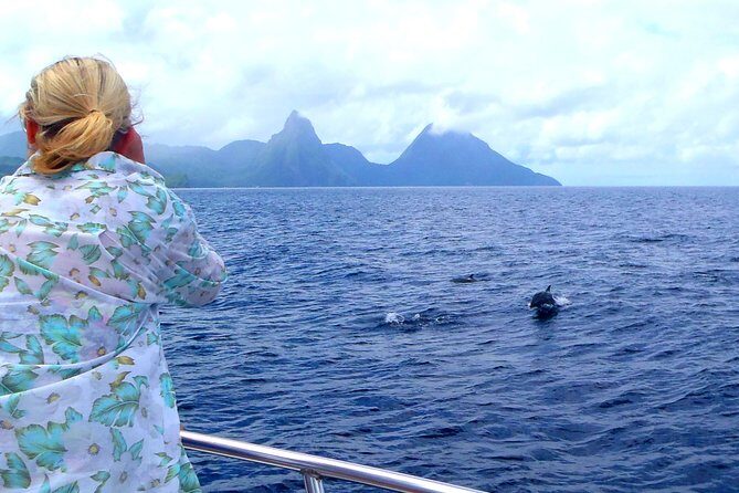 Whale and Dolphin Watching Cruise in St Lucia - On Board: Rum Punch, Shade, and the Real Comfort Check