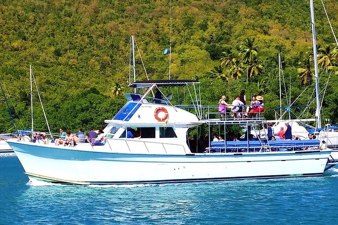 Whale and Dolphin Watching Cruise in St Lucia - How Sighting Moments Usually Work (And What Counts as a Win)