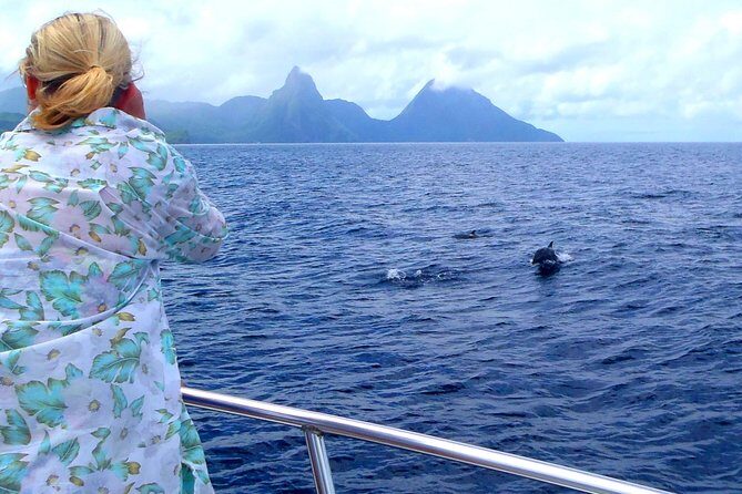 Whale Watching and Dolphin Spotting Cruise - Key Things You’ll Notice On This St Lucia Whale Cruise