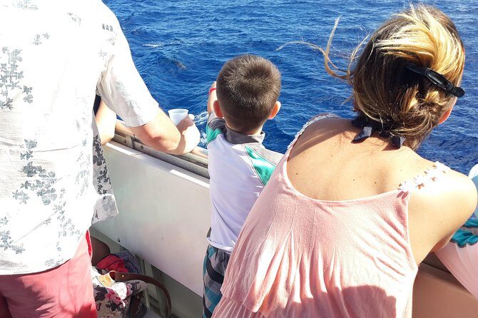 Whale Watching and Dolphin Spotting Cruise - Wildlife Chances: Dolphins, Sperm Whales, Pilot Whales, and Friends