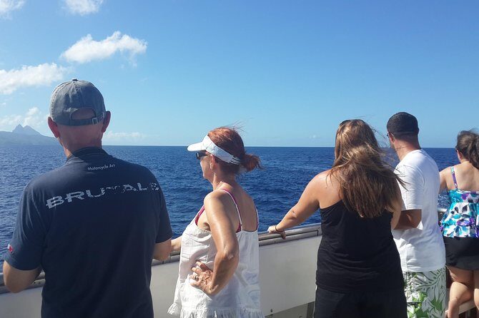 Whale Watching and Dolphin Spotting Cruise - How the Captain’s Search Makes or Breaks Your Chance to Spot Whales